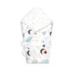 Swaddle Sleeping Bag - Bear Family