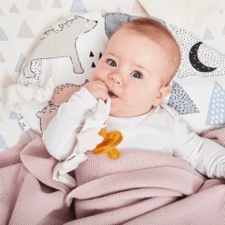 Pacifier Clip - Rabbit -Fun with Mum Soldes mouse pillow bear family 12