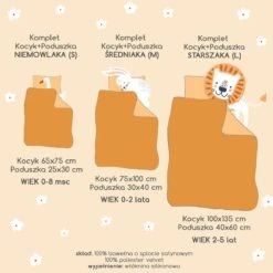 Baby Blanket Set S - Goose